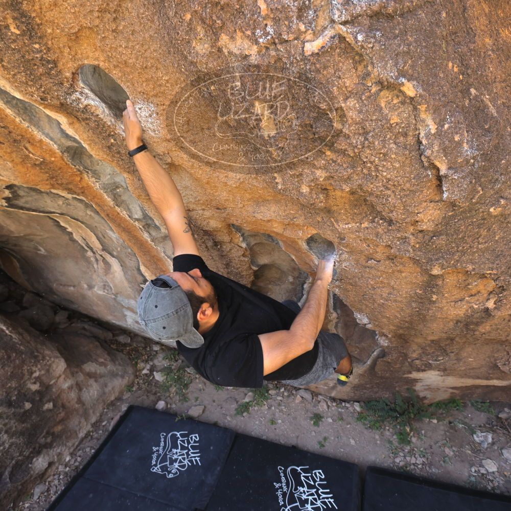 

Filename: SRM_20220408_1047550.jpg
Aperture: f/5.6
Shutter Speed: 1/320
Body: Canon EOS R6
Lens: Canon EF 16-35mm f/2.8 L