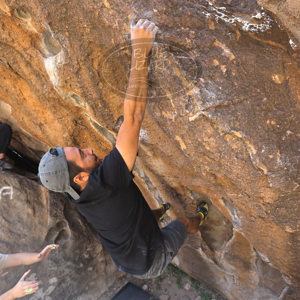 

Filename: SRM_20220408_1047591.jpg
Aperture: f/5.6
Shutter Speed: 1/320
Body: Canon EOS R6
Lens: Canon EF 16-35mm f/2.8 L