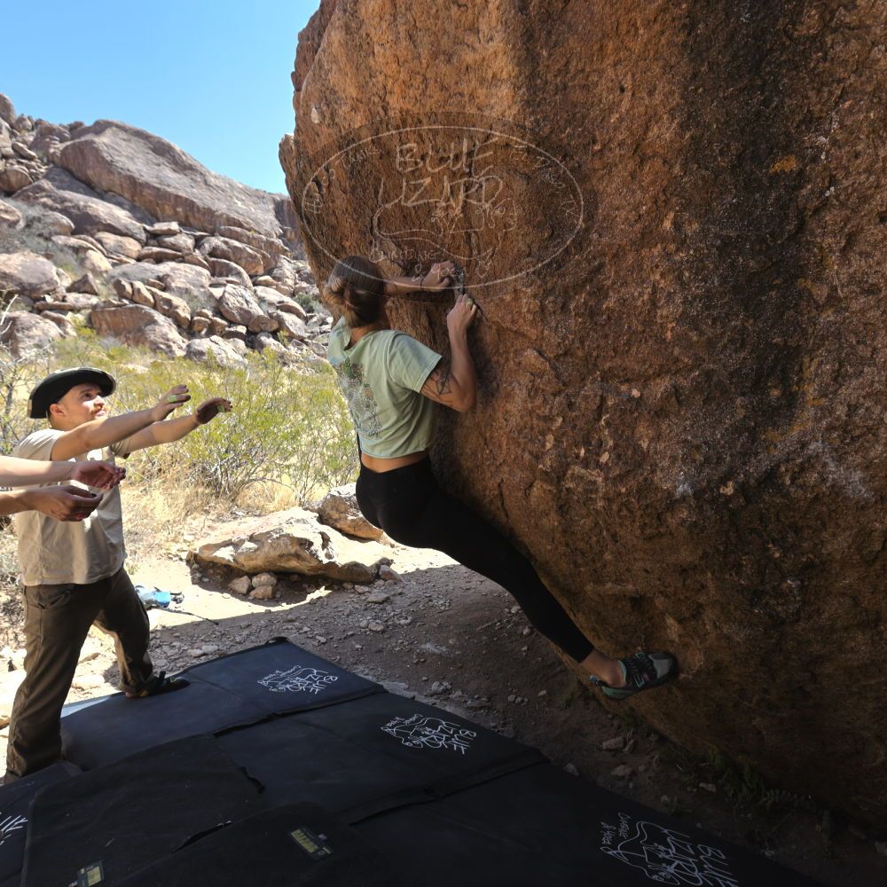 

Filename: SRM_20220408_1117290.jpg
Aperture: f/5.6
Shutter Speed: 1/320
Body: Canon EOS R6
Lens: Canon EF 16-35mm f/2.8 L