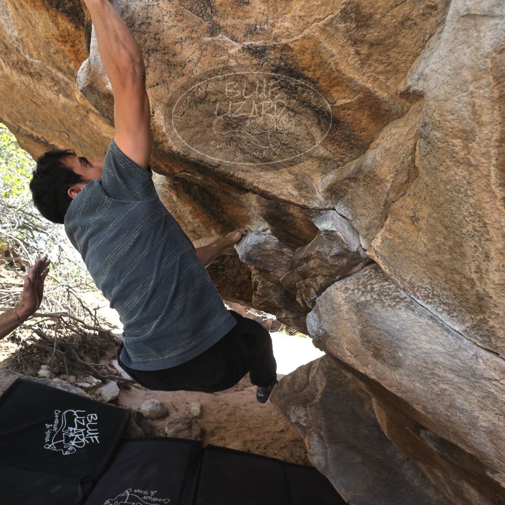 

Filename: SRM_20220408_1309140.jpg
Aperture: f/5.6
Shutter Speed: 1/320
Body: Canon EOS R6
Lens: Canon EF 16-35mm f/2.8 L