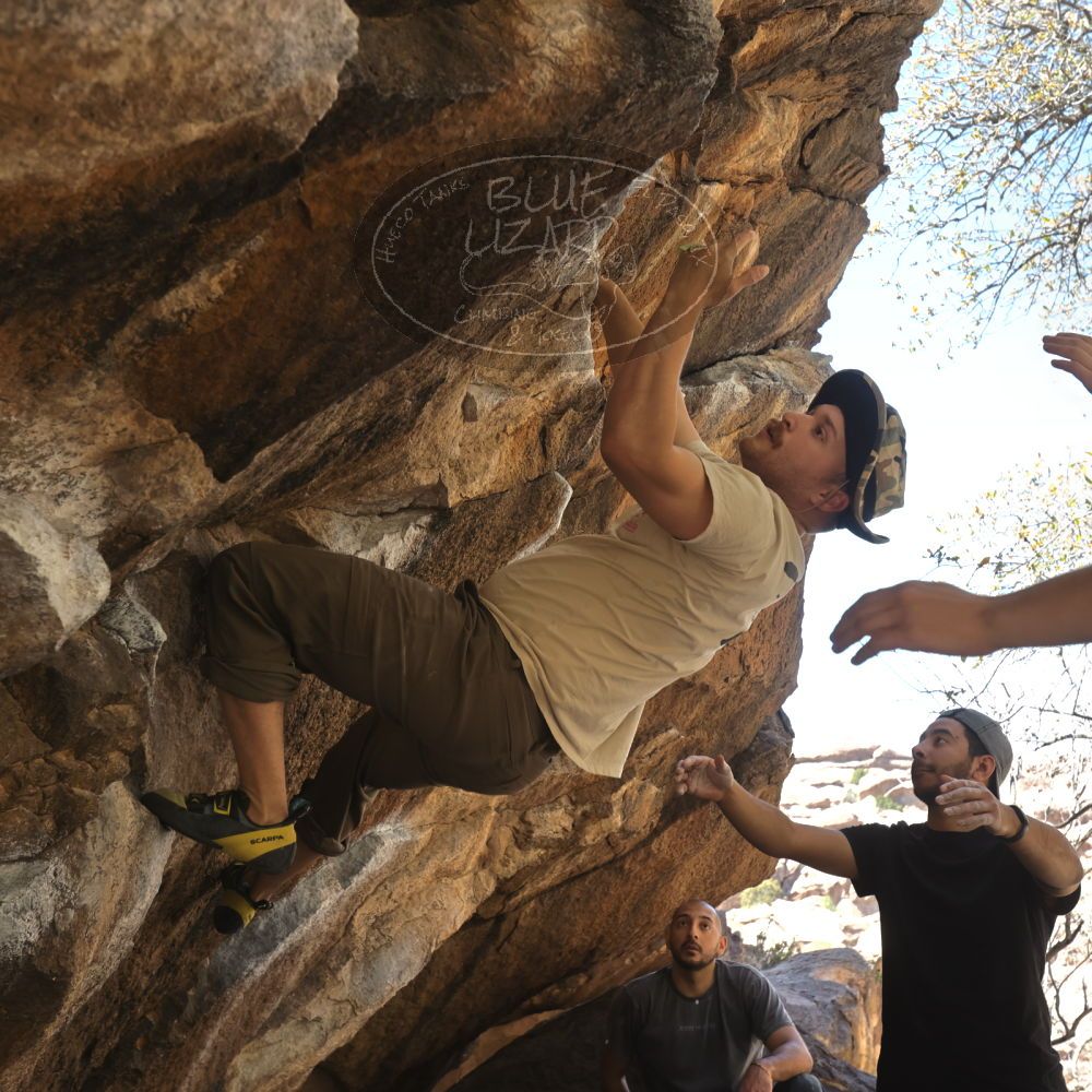 Filename: SRM_20220408_1317580.jpg
Aperture: f/5.6
Shutter Speed: 1/320
Body: Canon EOS R6
Lens: Canon EF 16-35mm f/2.8 L