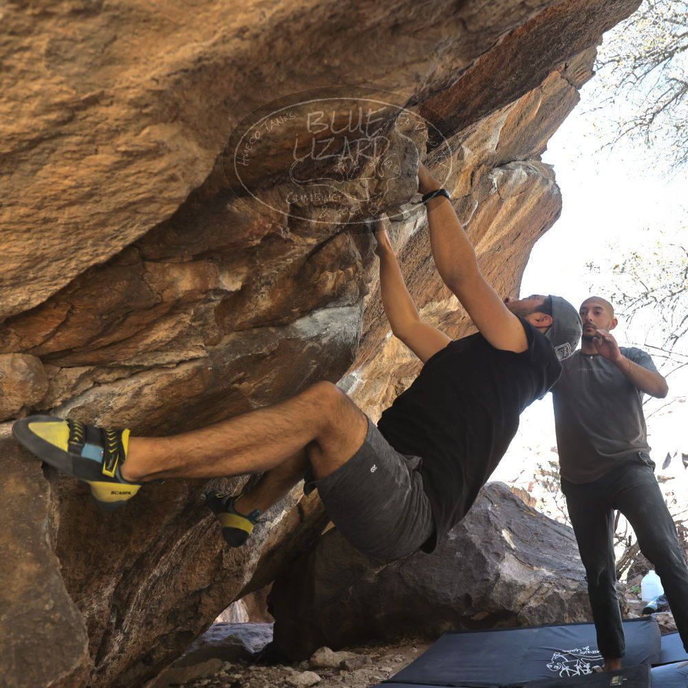 

Filename: SRM_20220408_1323240.jpg
Aperture: f/5.6
Shutter Speed: 1/320
Body: Canon EOS R6
Lens: Canon EF 16-35mm f/2.8 L