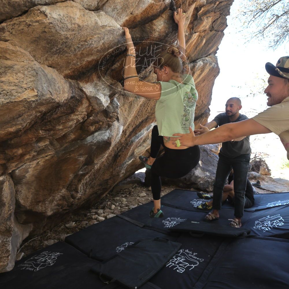 Filename: SRM_20220408_1326321.jpg
Aperture: f/5.6
Shutter Speed: 1/320
Body: Canon EOS R6
Lens: Canon EF 16-35mm f/2.8 L