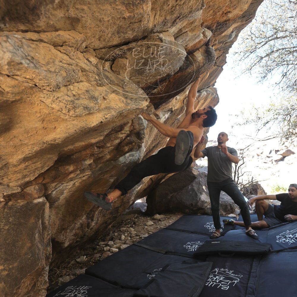 

Filename: SRM_20220408_1328120.jpg
Aperture: f/5.6
Shutter Speed: 1/320
Body: Canon EOS R6
Lens: Canon EF 16-35mm f/2.8 L