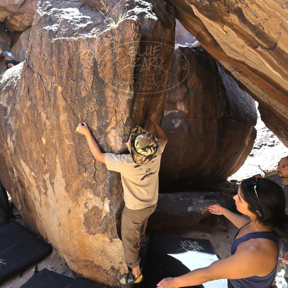 Filename: SRM_20220408_1344430.jpg
Aperture: f/5.6
Shutter Speed: 1/500
Body: Canon EOS R6
Lens: Canon EF 16-35mm f/2.8 L