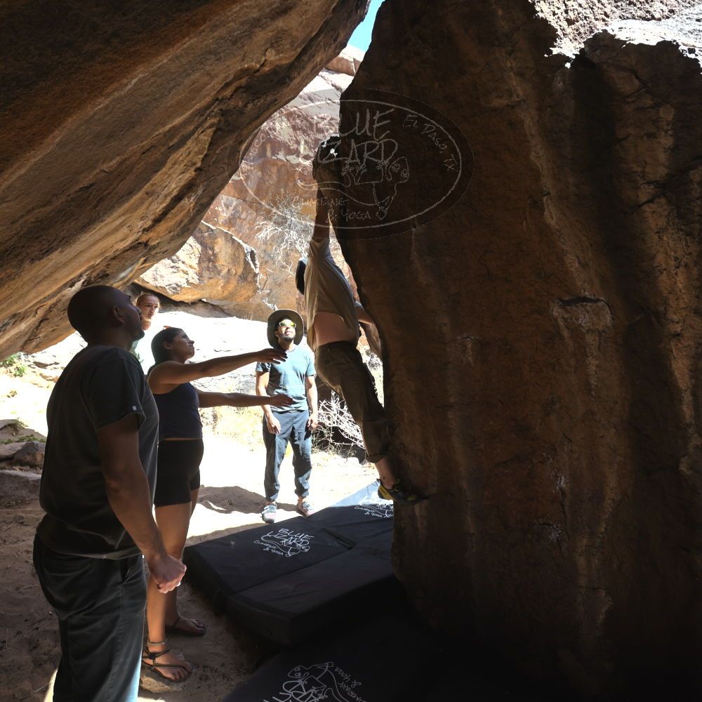 Filename: SRM_20220408_1344580.jpg
Aperture: f/5.6
Shutter Speed: 1/500
Body: Canon EOS R6
Lens: Canon EF 16-35mm f/2.8 L