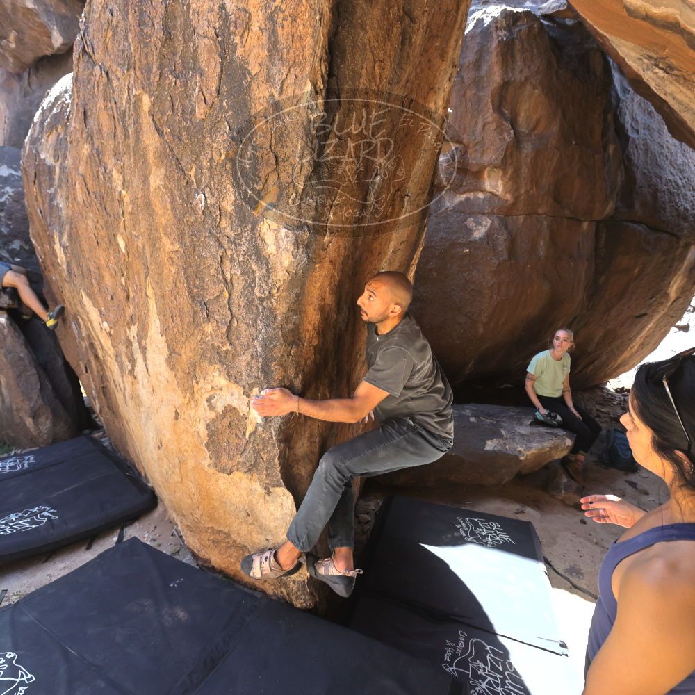 Filename: SRM_20220408_1346030.jpg
Aperture: f/5.6
Shutter Speed: 1/500
Body: Canon EOS R6
Lens: Canon EF 16-35mm f/2.8 L