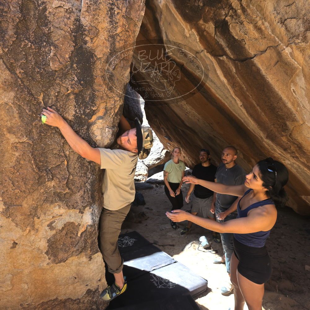 Filename: SRM_20220408_1357120.jpg
Aperture: f/5.6
Shutter Speed: 1/500
Body: Canon EOS R6
Lens: Canon EF 16-35mm f/2.8 L