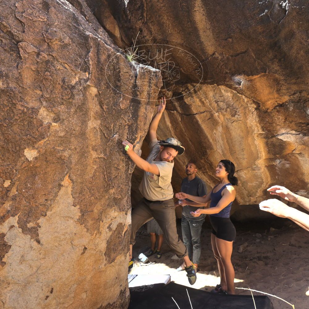 

Filename: SRM_20220408_1357360.jpg
Aperture: f/5.6
Shutter Speed: 1/500
Body: Canon EOS R6
Lens: Canon EF 16-35mm f/2.8 L