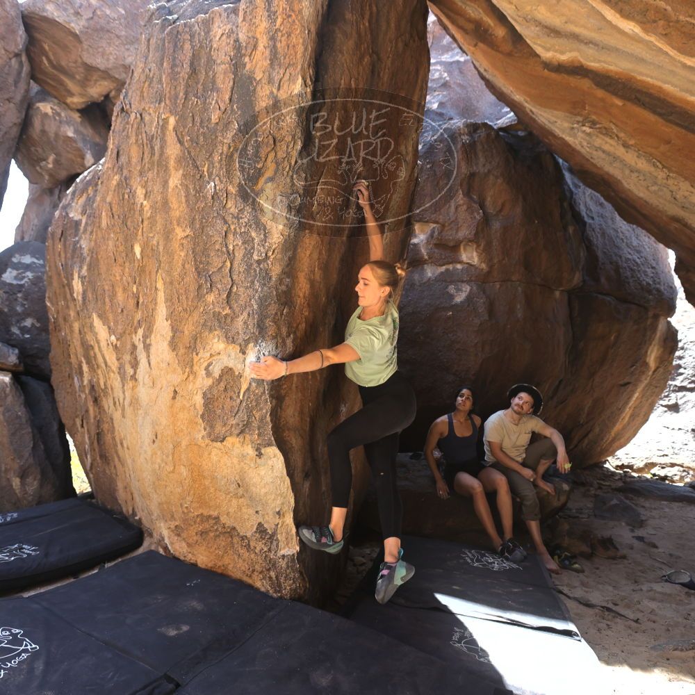 Filename: SRM_20220408_1402400.jpg
Aperture: f/5.6
Shutter Speed: 1/320
Body: Canon EOS R6
Lens: Canon EF 16-35mm f/2.8 L