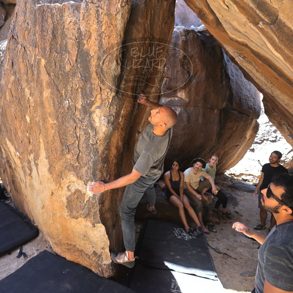 

Filename: SRM_20220408_1404190.jpg
Aperture: f/5.6
Shutter Speed: 1/320
Body: Canon EOS R6
Lens: Canon EF 16-35mm f/2.8 L