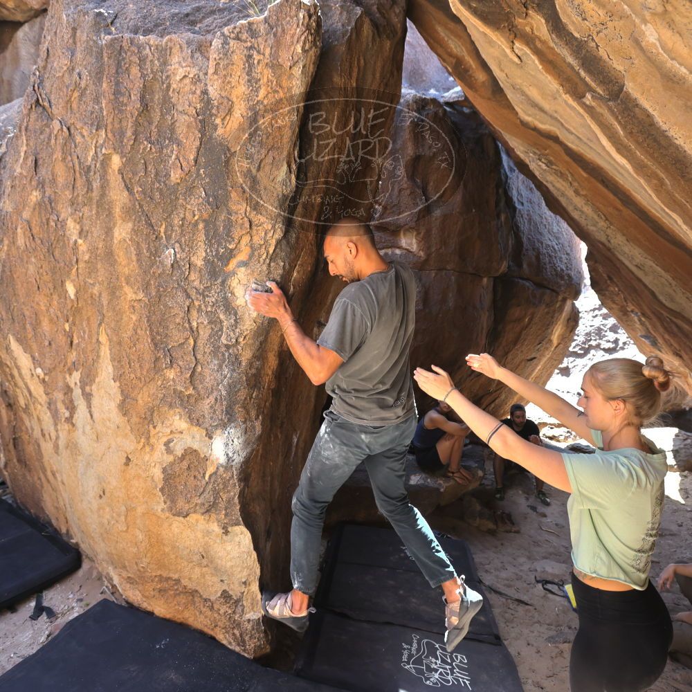 Filename: SRM_20220408_1419430.jpg
Aperture: f/5.6
Shutter Speed: 1/320
Body: Canon EOS R6
Lens: Canon EF 16-35mm f/2.8 L