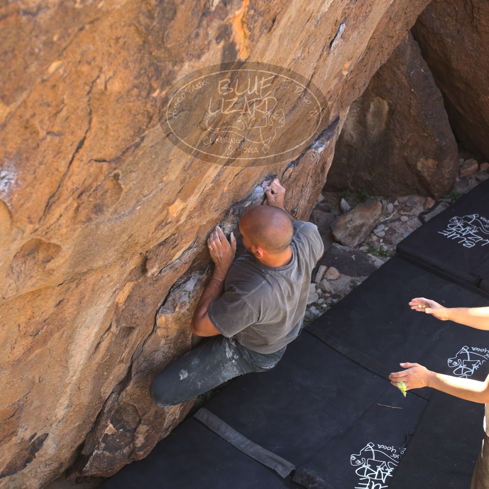 Filename: SRM_20220408_1436030.jpg
Aperture: f/4.0
Shutter Speed: 1/320
Body: Canon EOS R6
Lens: Canon EF 50mm f/1.8 II