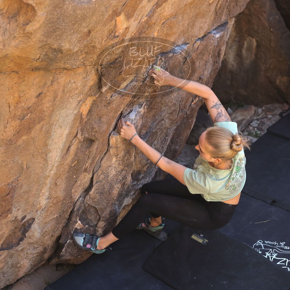 

Filename: SRM_20220408_1438500.jpg
Aperture: f/4.0
Shutter Speed: 1/320
Body: Canon EOS R6
Lens: Canon EF 50mm f/1.8 II