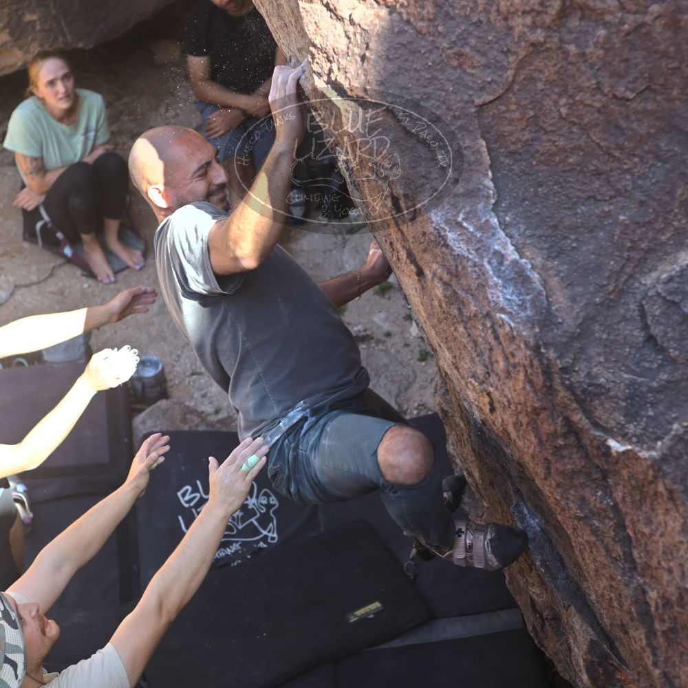 

Filename: SRM_20220408_1444440.jpg
Aperture: f/4.0
Shutter Speed: 1/320
Body: Canon EOS R6
Lens: Canon EF 50mm f/1.8 II