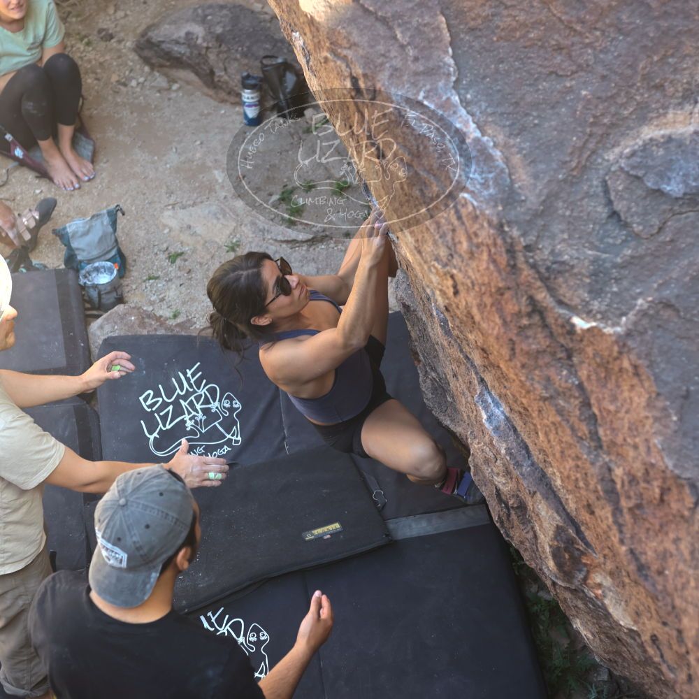 

Filename: SRM_20220408_1449190.jpg
Aperture: f/4.0
Shutter Speed: 1/320
Body: Canon EOS R6
Lens: Canon EF 50mm f/1.8 II