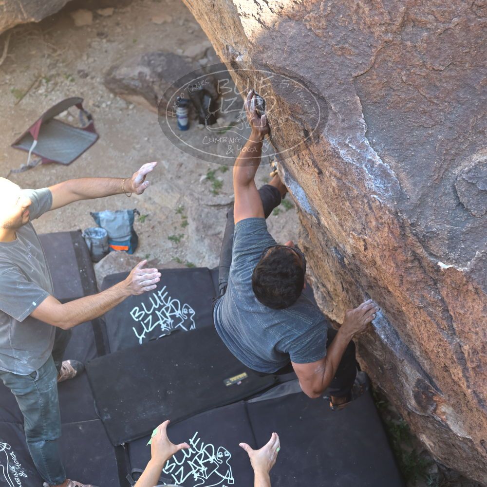 Filename: SRM_20220408_1500090.jpg
Aperture: f/4.0
Shutter Speed: 1/320
Body: Canon EOS R6
Lens: Canon EF 50mm f/1.8 II