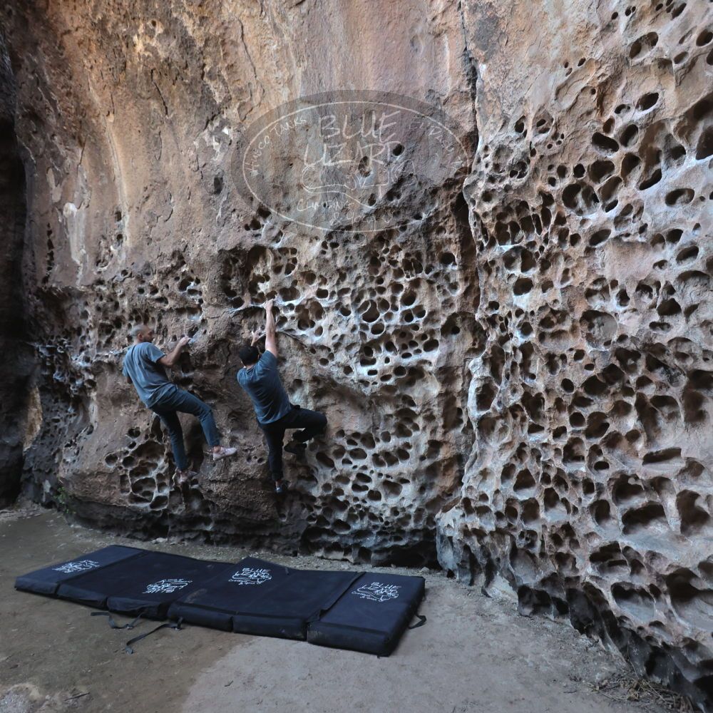 Filename: SRM_20220408_1553160.jpg
Aperture: f/4.0
Shutter Speed: 1/160
Body: Canon EOS R6
Lens: Canon EF 16-35mm f/2.8 L