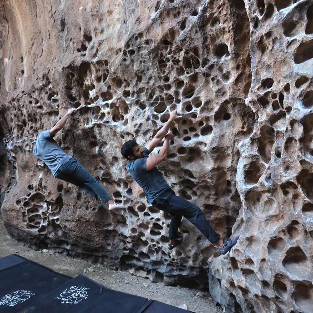 

Filename: SRM_20220408_1553300.jpg
Aperture: f/4.0
Shutter Speed: 1/160
Body: Canon EOS R6
Lens: Canon EF 16-35mm f/2.8 L