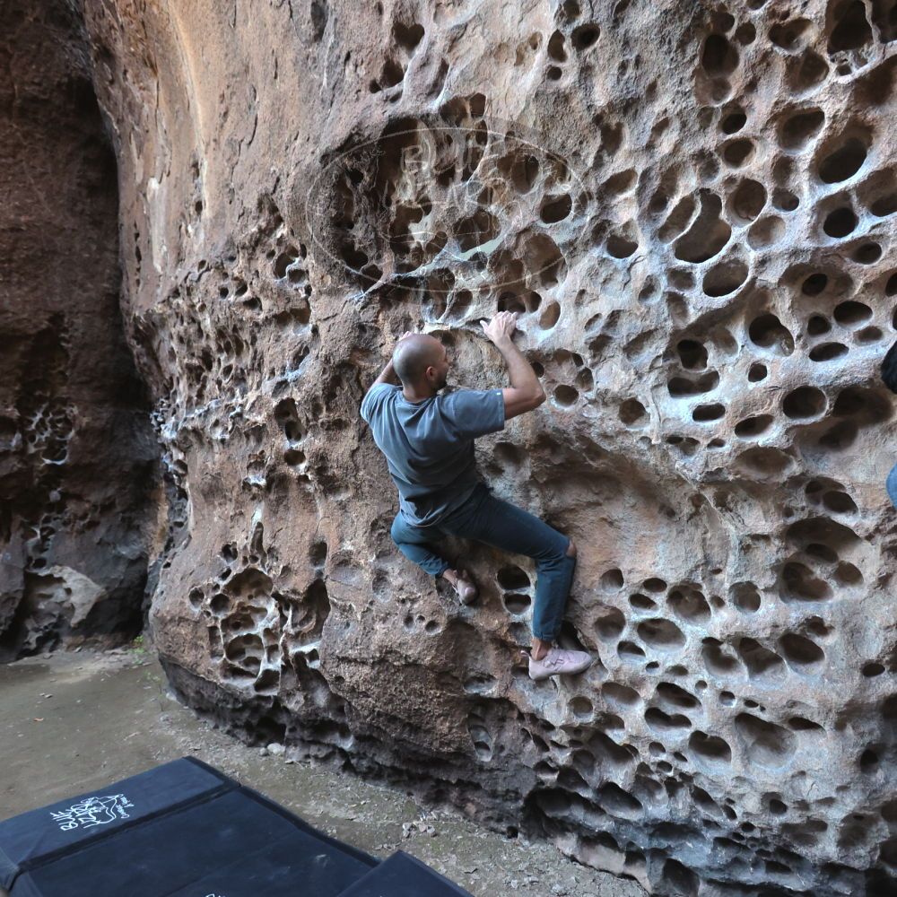 Filename: SRM_20220408_1553350.jpg
Aperture: f/4.0
Shutter Speed: 1/160
Body: Canon EOS R6
Lens: Canon EF 16-35mm f/2.8 L