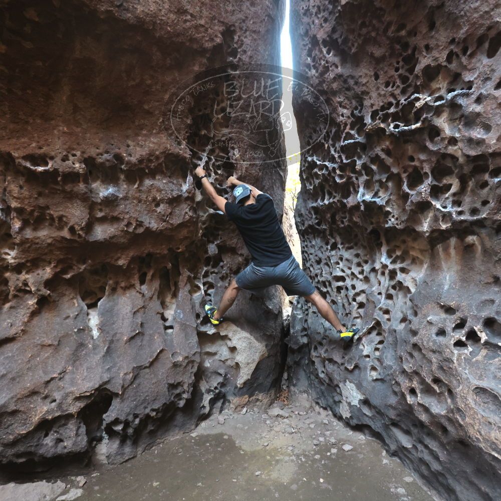 Filename: SRM_20220408_1553520.jpg
Aperture: f/4.0
Shutter Speed: 1/160
Body: Canon EOS R6
Lens: Canon EF 16-35mm f/2.8 L