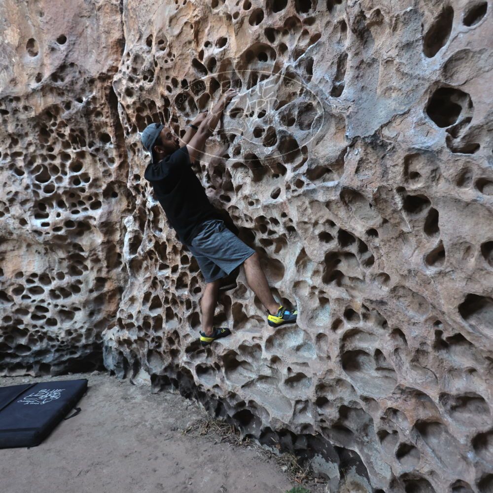 Filename: SRM_20220408_1556410.jpg
Aperture: f/4.0
Shutter Speed: 1/160
Body: Canon EOS R6
Lens: Canon EF 16-35mm f/2.8 L