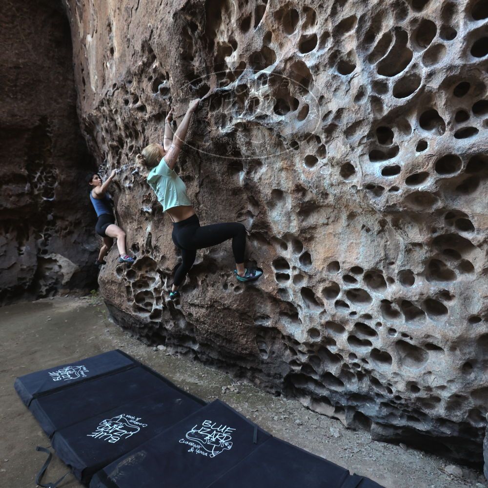 

Filename: SRM_20220408_1556551.jpg
Aperture: f/4.0
Shutter Speed: 1/160
Body: Canon EOS R6
Lens: Canon EF 16-35mm f/2.8 L