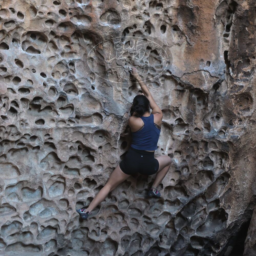 Filename: SRM_20220408_1558300.jpg
Aperture: f/4.0
Shutter Speed: 1/160
Body: Canon EOS R6
Lens: Canon EF 50mm f/1.8 II