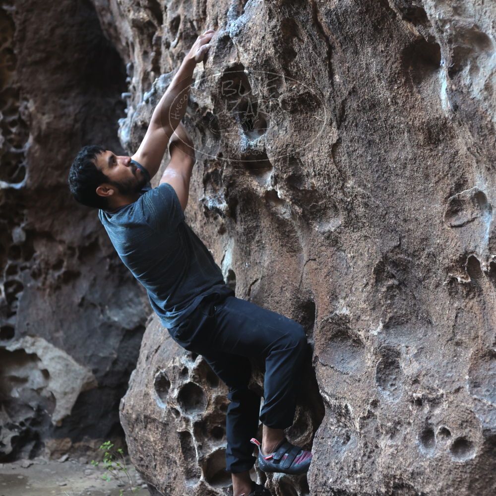 

Filename: SRM_20220408_1558490.jpg
Aperture: f/3.2
Shutter Speed: 1/160
Body: Canon EOS R6
Lens: Canon EF 50mm f/1.8 II