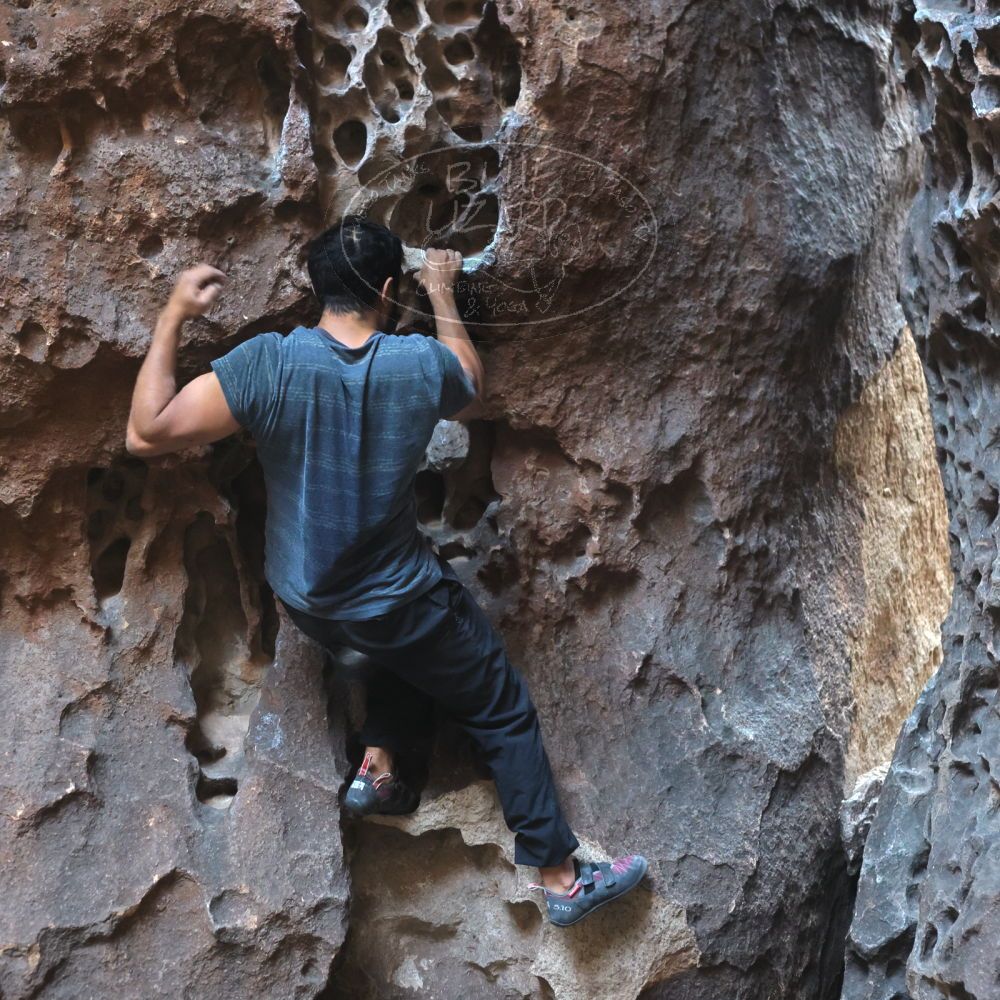 Filename: SRM_20220408_1605060.jpg
Aperture: f/4.0
Shutter Speed: 1/160
Body: Canon EOS R6
Lens: Canon EF 50mm f/1.8 II