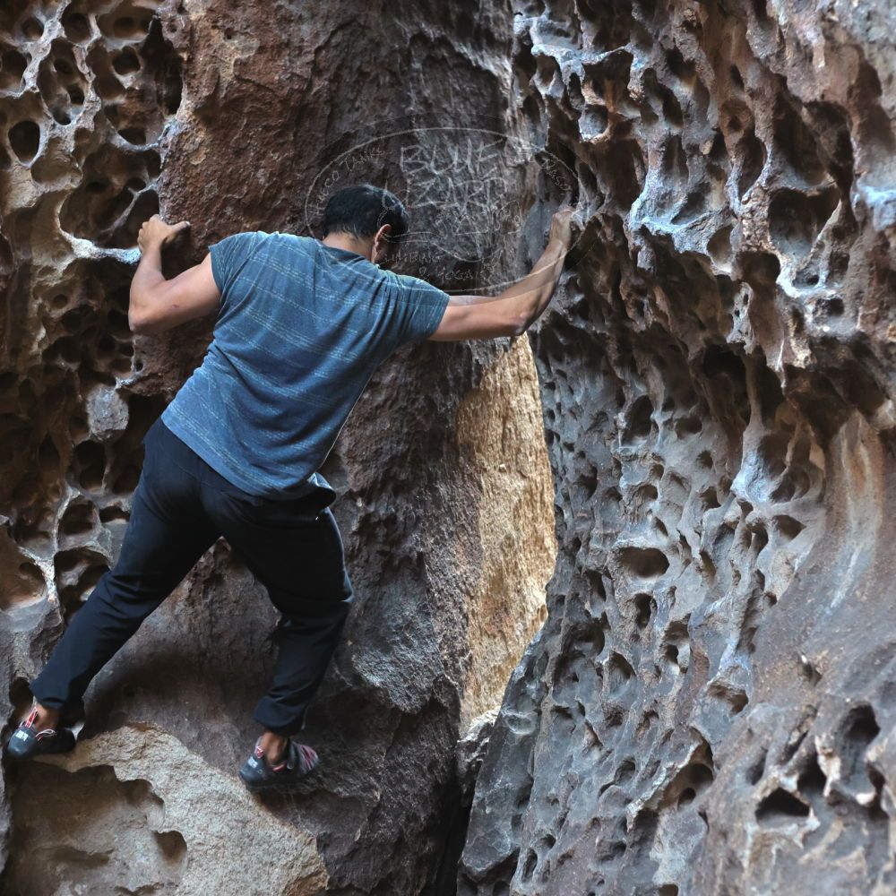 

Filename: SRM_20220408_1605080.jpg
Aperture: f/4.0
Shutter Speed: 1/160
Body: Canon EOS R6
Lens: Canon EF 50mm f/1.8 II