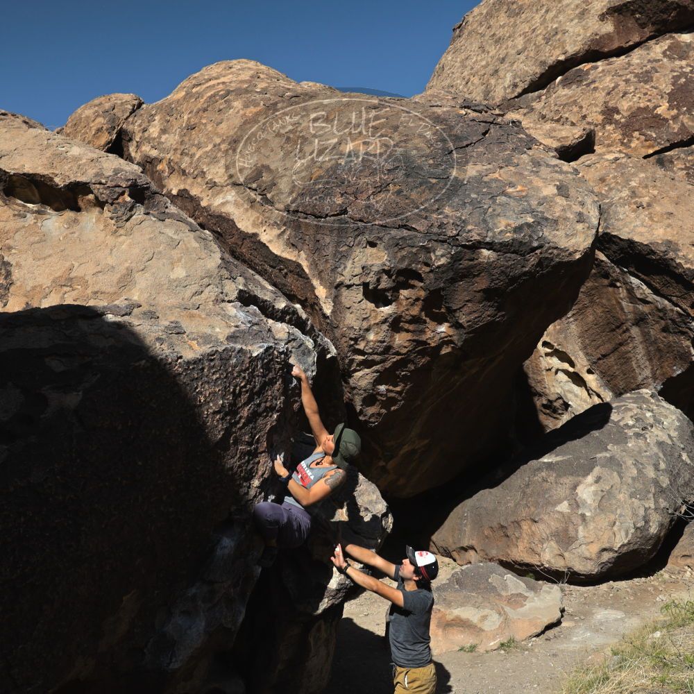 Filename: SRM_20220409_0900410.jpg
Aperture: f/8.0
Shutter Speed: 1/500
Body: Canon EOS R6
Lens: Canon EF 16-35mm f/2.8 L