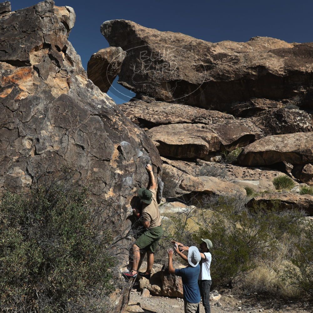 Filename: SRM_20220409_0901170.jpg
Aperture: f/8.0
Shutter Speed: 1/500
Body: Canon EOS R6
Lens: Canon EF 16-35mm f/2.8 L