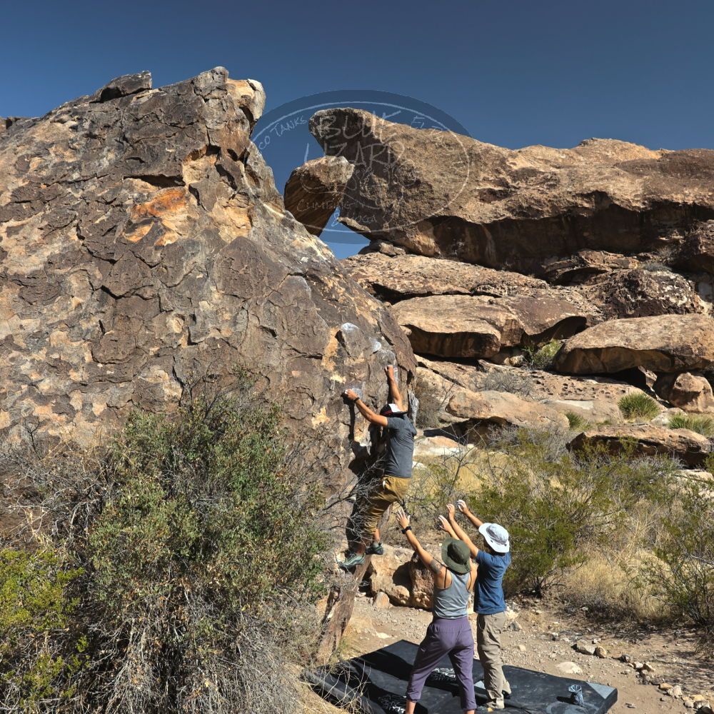 Filename: SRM_20220409_0914550.jpg
Aperture: f/8.0
Shutter Speed: 1/1000
Body: Canon EOS R6
Lens: Canon EF 16-35mm f/2.8 L