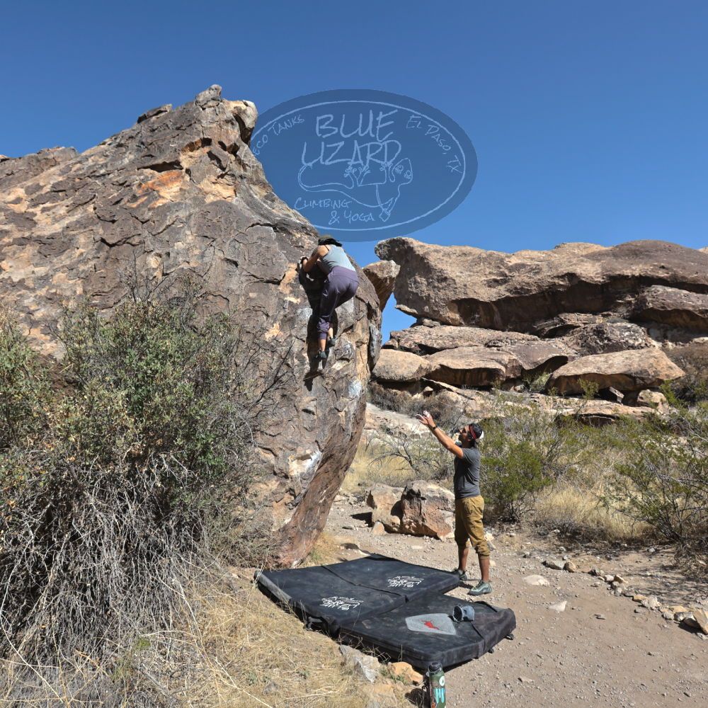 Filename: SRM_20220409_0924360.jpg
Aperture: f/5.6
Shutter Speed: 1/2500
Body: Canon EOS R6
Lens: Canon EF 16-35mm f/2.8 L