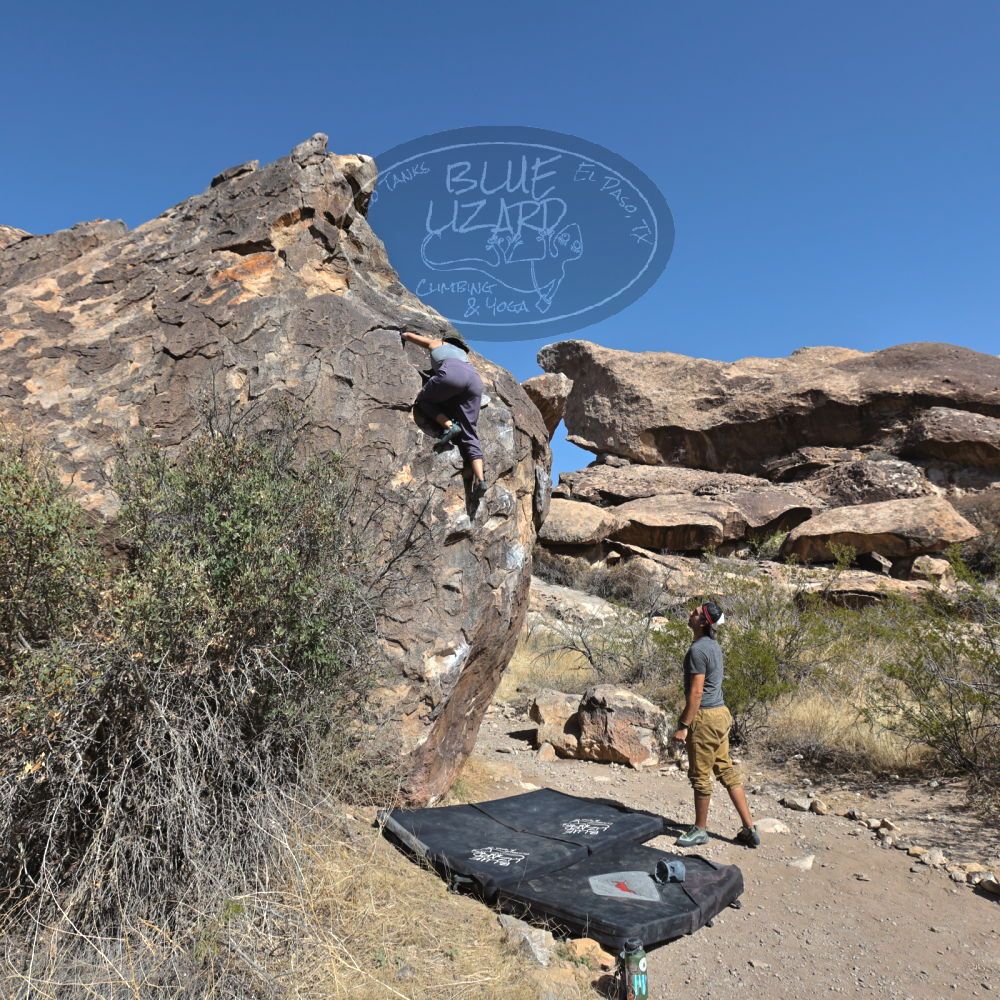 Filename: SRM_20220409_0924380.jpg
Aperture: f/5.6
Shutter Speed: 1/2500
Body: Canon EOS R6
Lens: Canon EF 16-35mm f/2.8 L