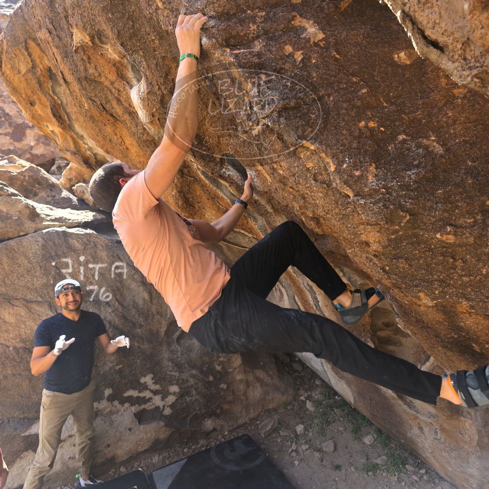 

Filename: SRM_20220409_0945020.jpg
Aperture: f/5.6
Shutter Speed: 1/320
Body: Canon EOS R6
Lens: Canon EF 16-35mm f/2.8 L