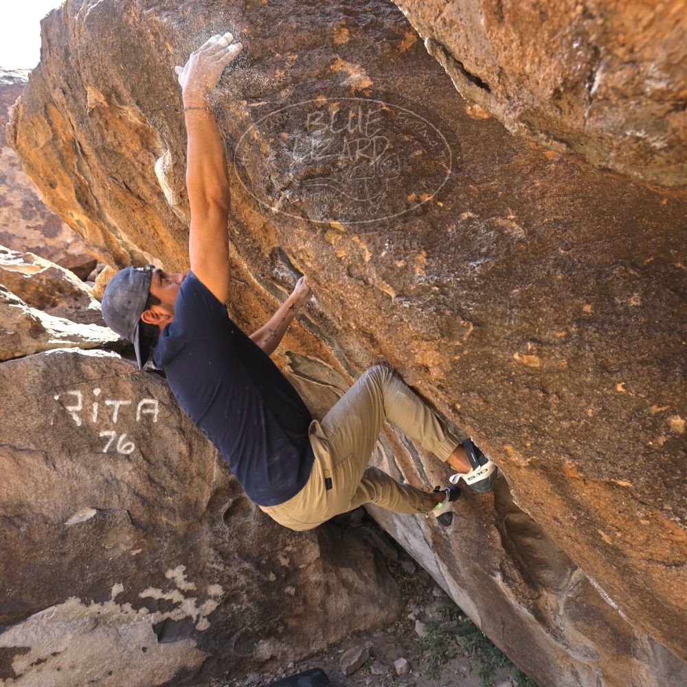 

Filename: SRM_20220409_0948000.jpg
Aperture: f/5.6
Shutter Speed: 1/320
Body: Canon EOS R6
Lens: Canon EF 16-35mm f/2.8 L