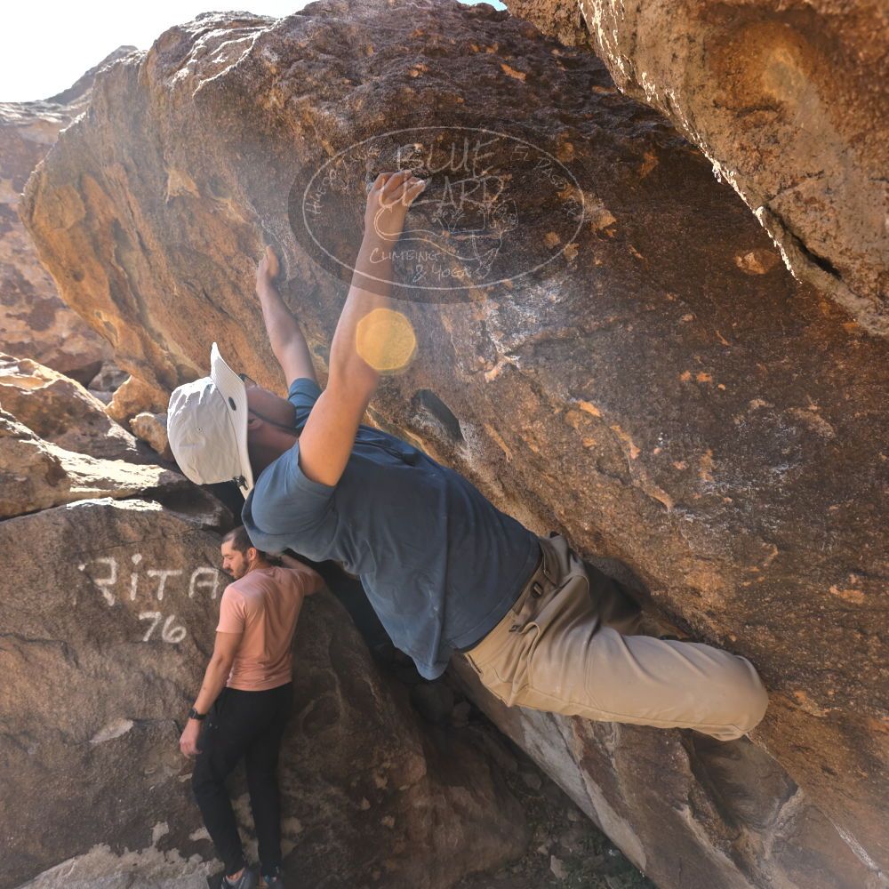 

Filename: SRM_20220409_0950480.jpg
Aperture: f/5.6
Shutter Speed: 1/320
Body: Canon EOS R6
Lens: Canon EF 16-35mm f/2.8 L