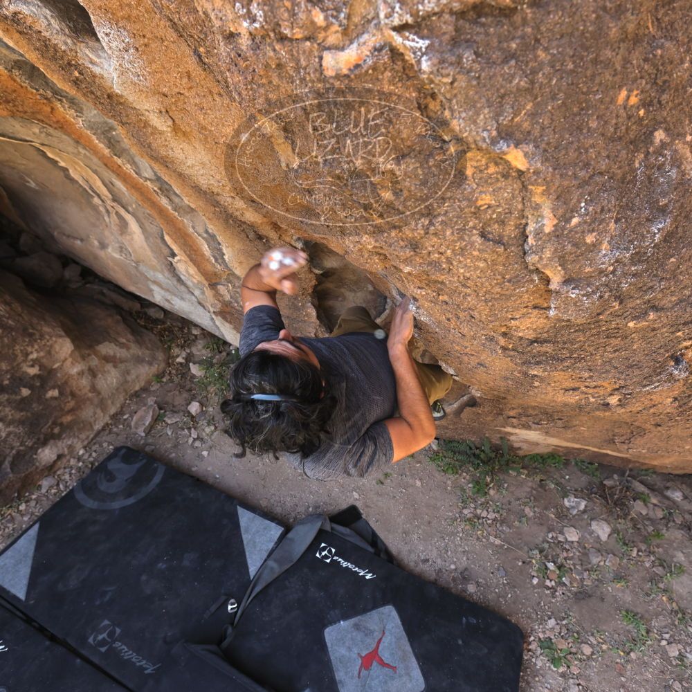 

Filename: SRM_20220409_0954300.jpg
Aperture: f/5.6
Shutter Speed: 1/320
Body: Canon EOS R6
Lens: Canon EF 16-35mm f/2.8 L