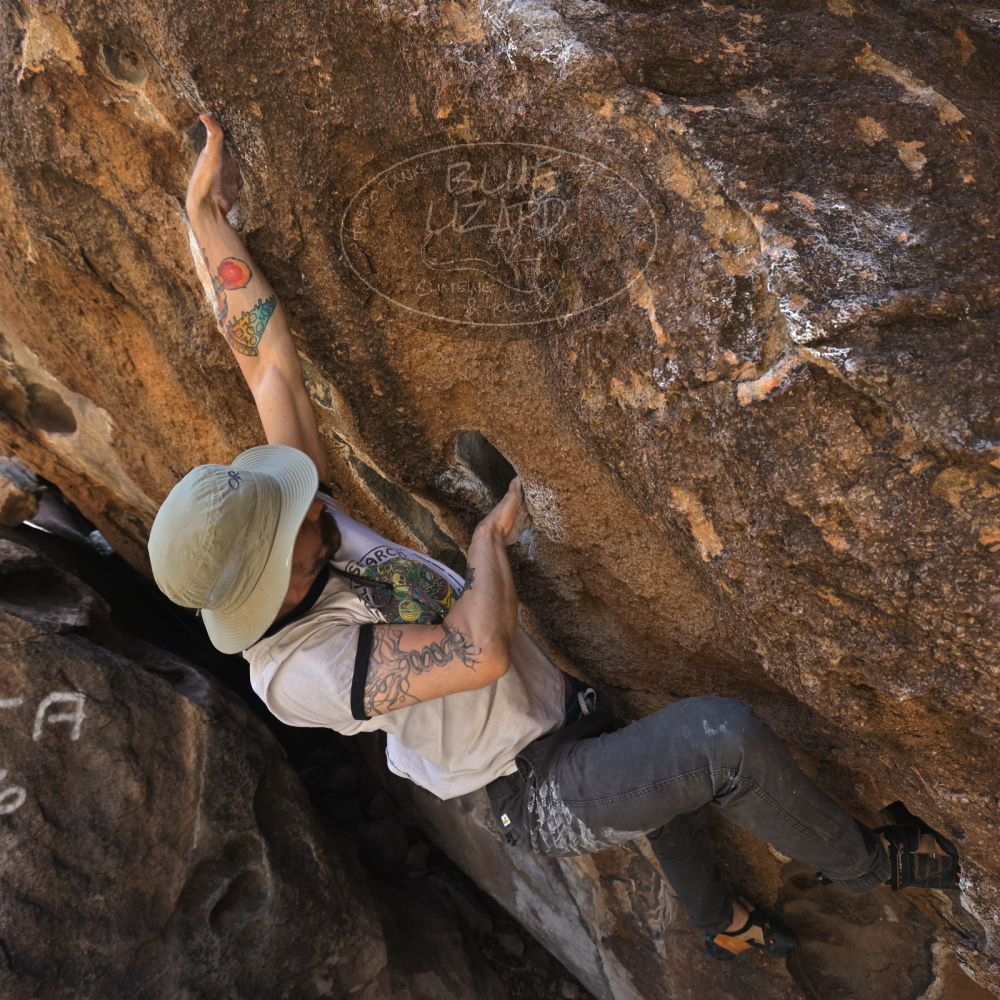 

Filename: SRM_20220409_0956390.jpg
Aperture: f/5.6
Shutter Speed: 1/320
Body: Canon EOS R6
Lens: Canon EF 16-35mm f/2.8 L