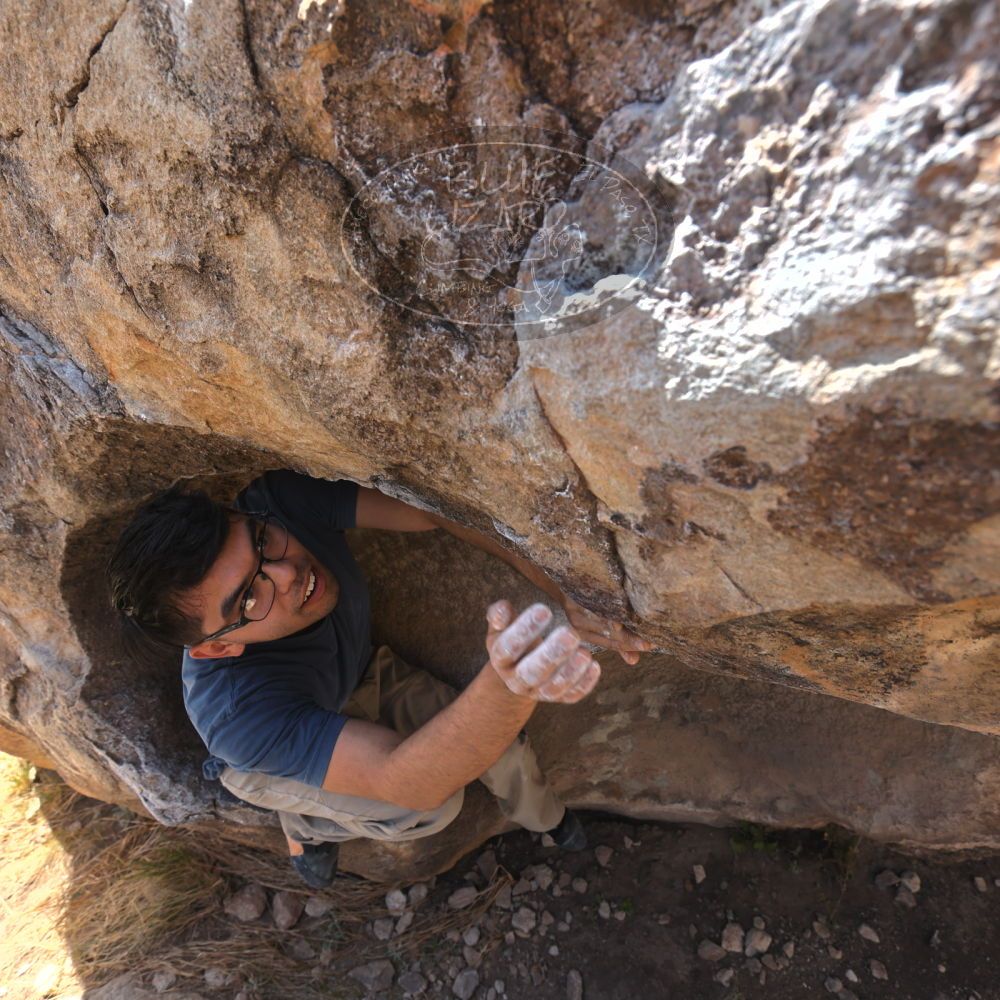 

Filename: SRM_20220409_1030520.jpg
Aperture: f/5.6
Shutter Speed: 1/320
Body: Canon EOS R6
Lens: Canon EF 16-35mm f/2.8 L