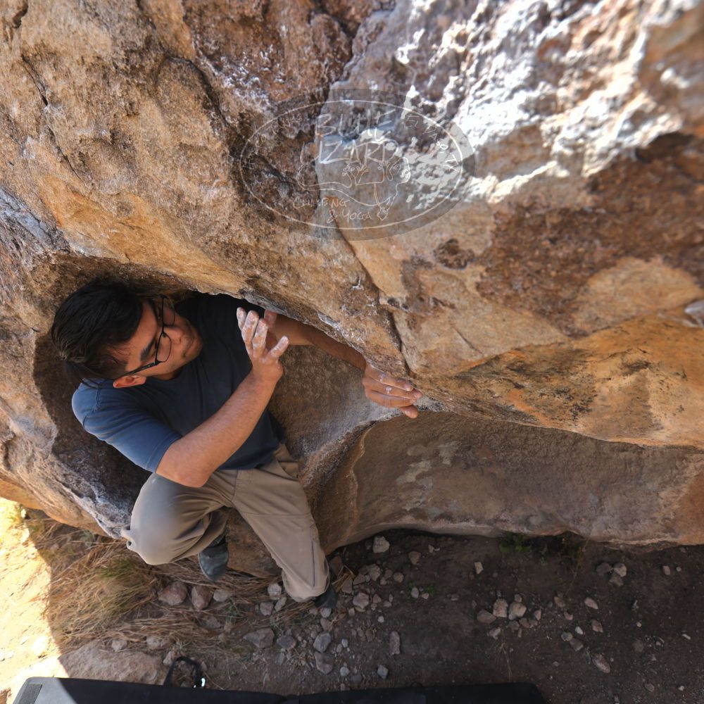 Filename: SRM_20220409_1033140.jpg
Aperture: f/5.6
Shutter Speed: 1/320
Body: Canon EOS R6
Lens: Canon EF 16-35mm f/2.8 L