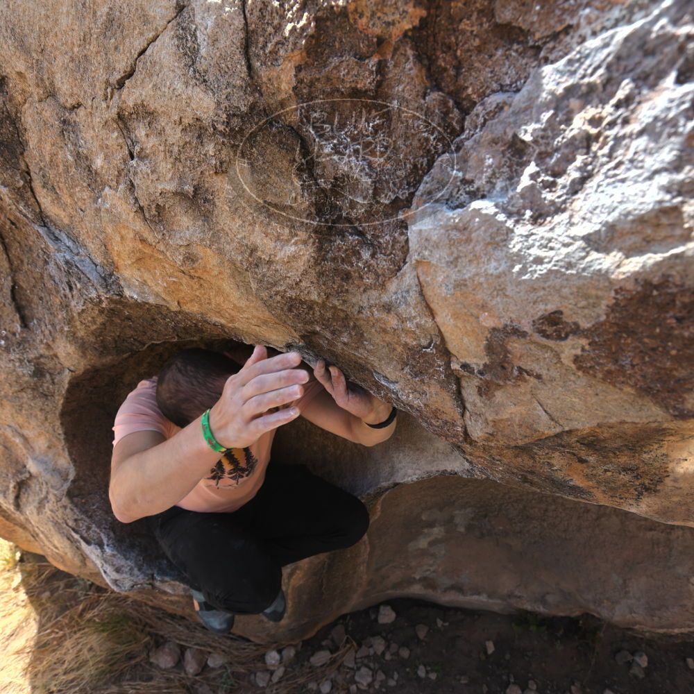 Filename: SRM_20220409_1033430.jpg
Aperture: f/5.6
Shutter Speed: 1/320
Body: Canon EOS R6
Lens: Canon EF 16-35mm f/2.8 L