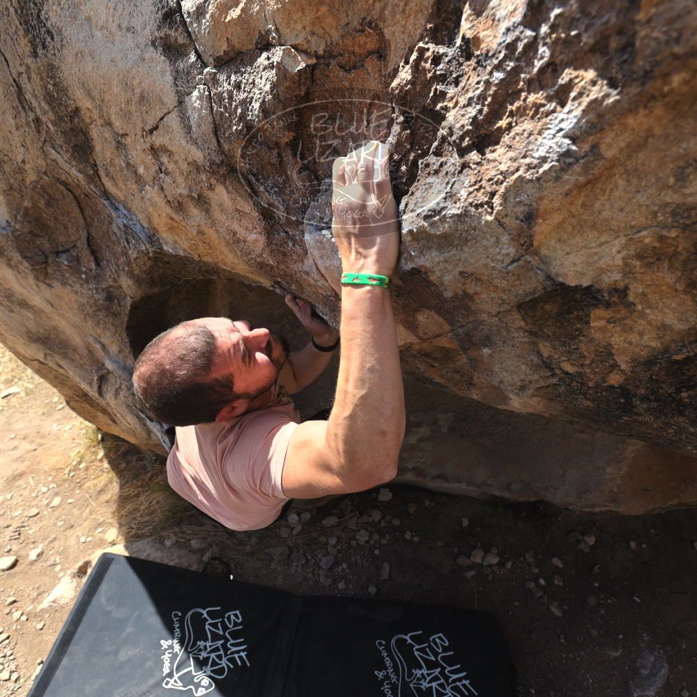 Filename: SRM_20220409_1033490.jpg
Aperture: f/5.6
Shutter Speed: 1/320
Body: Canon EOS R6
Lens: Canon EF 16-35mm f/2.8 L