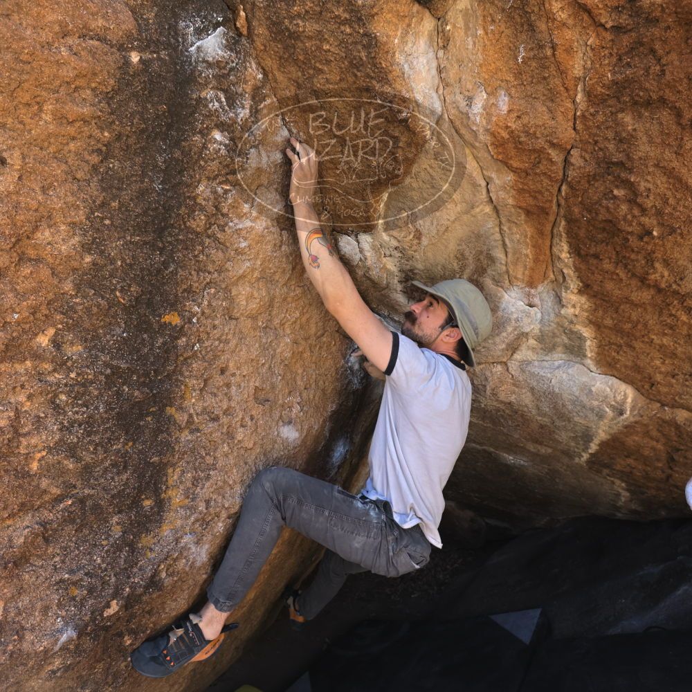 Filename: SRM_20220409_1043420.jpg
Aperture: f/5.6
Shutter Speed: 1/320
Body: Canon EOS R6
Lens: Canon EF 16-35mm f/2.8 L