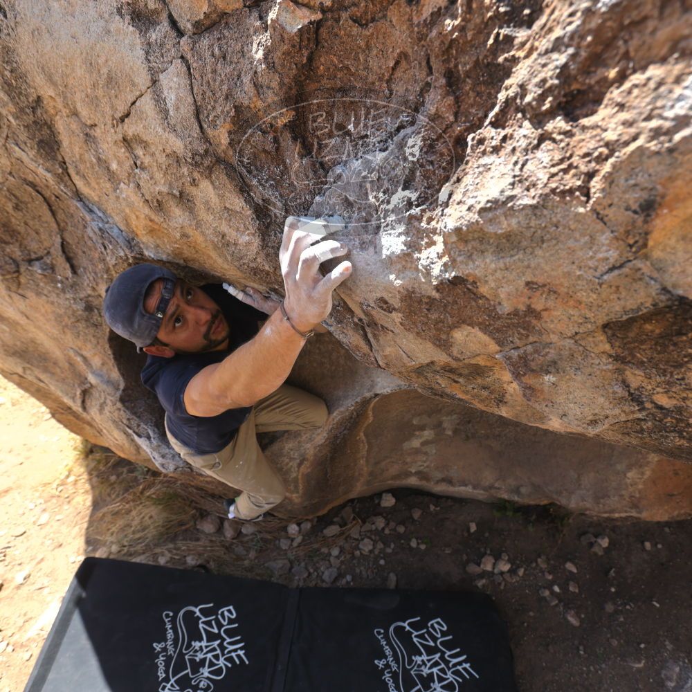 

Filename: SRM_20220409_1049570.jpg
Aperture: f/5.6
Shutter Speed: 1/320
Body: Canon EOS R6
Lens: Canon EF 16-35mm f/2.8 L