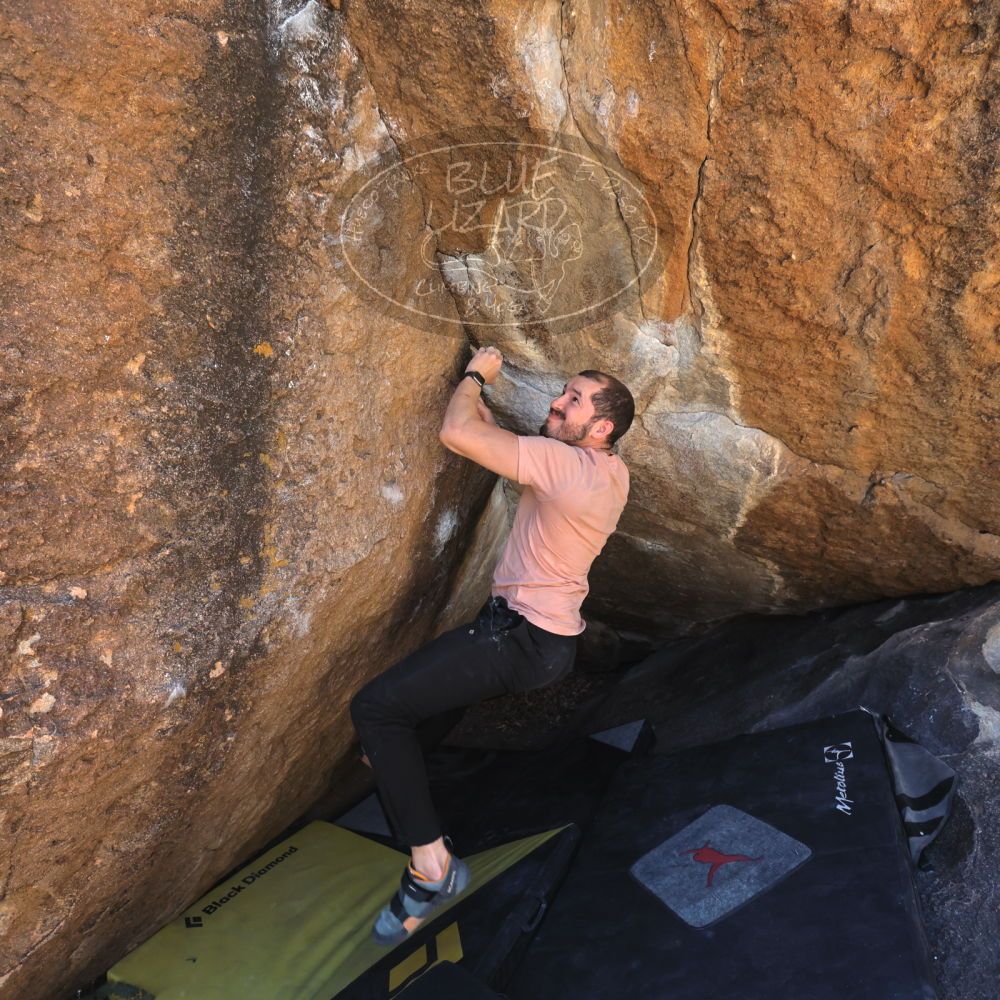 

Filename: SRM_20220409_1101020.jpg
Aperture: f/5.6
Shutter Speed: 1/800
Body: Canon EOS R6
Lens: Canon EF 16-35mm f/2.8 L