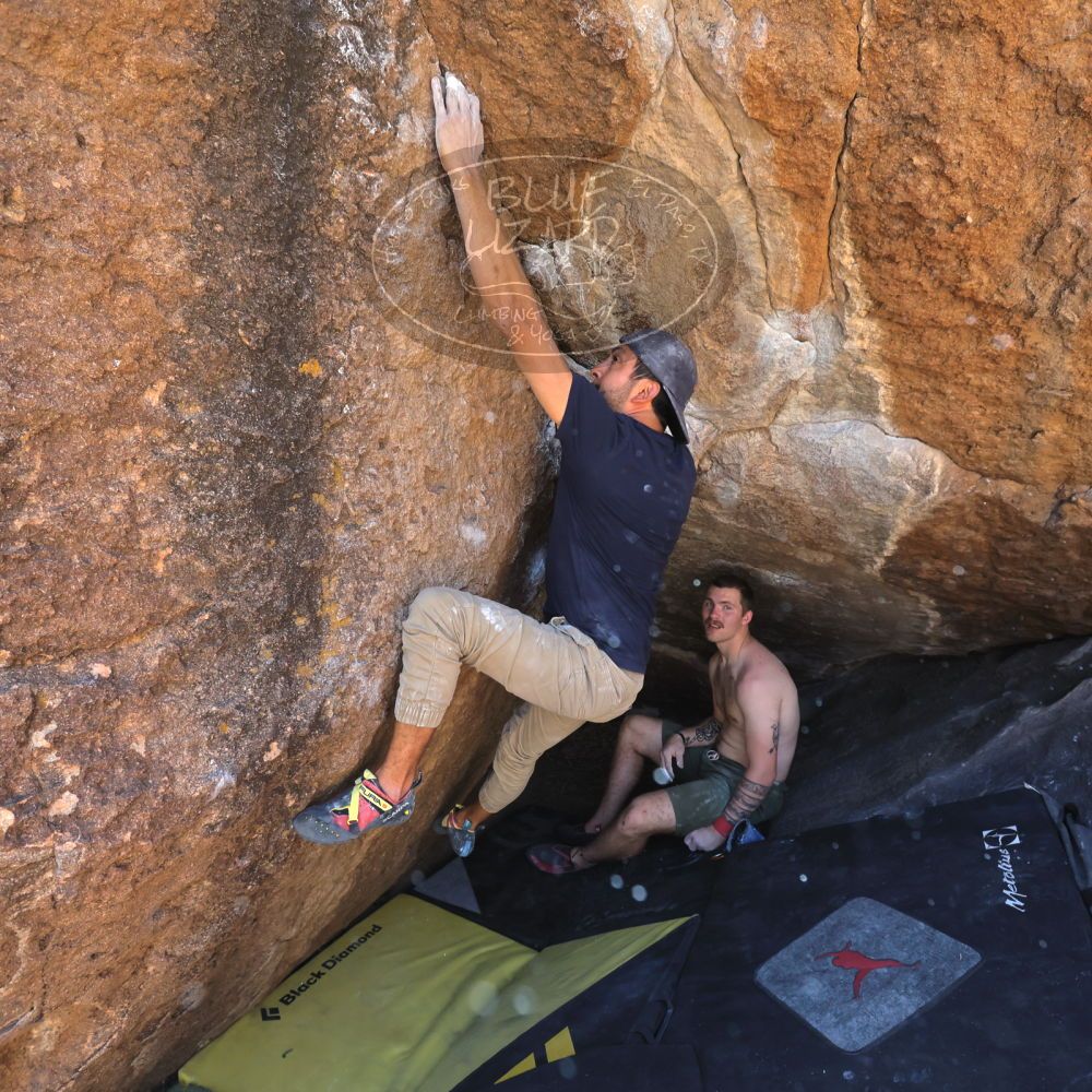 

Filename: SRM_20220409_1107120.jpg
Aperture: f/5.6
Shutter Speed: 1/800
Body: Canon EOS R6
Lens: Canon EF 16-35mm f/2.8 L