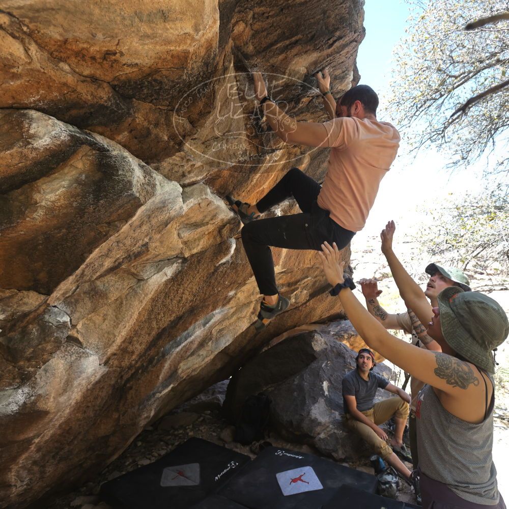 Filename: SRM_20220409_1222560.jpg
Aperture: f/5.6
Shutter Speed: 1/320
Body: Canon EOS R6
Lens: Canon EF 16-35mm f/2.8 L